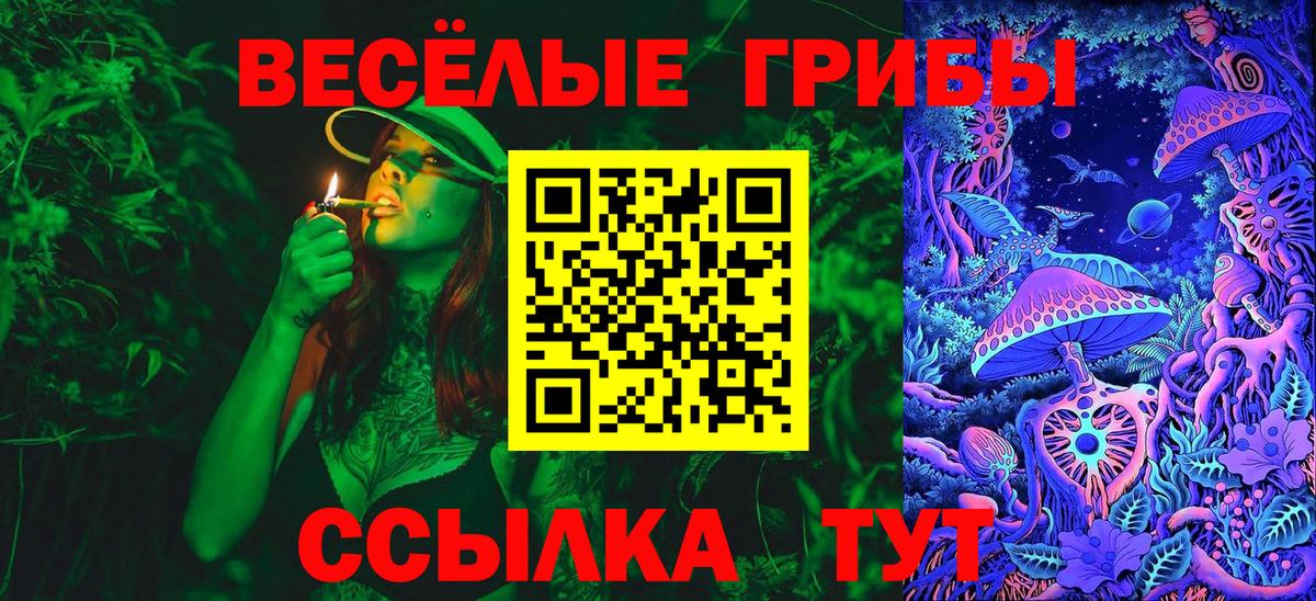 Северск  Псилоцибиновые грибы Psilocybe  Вход с VPN 