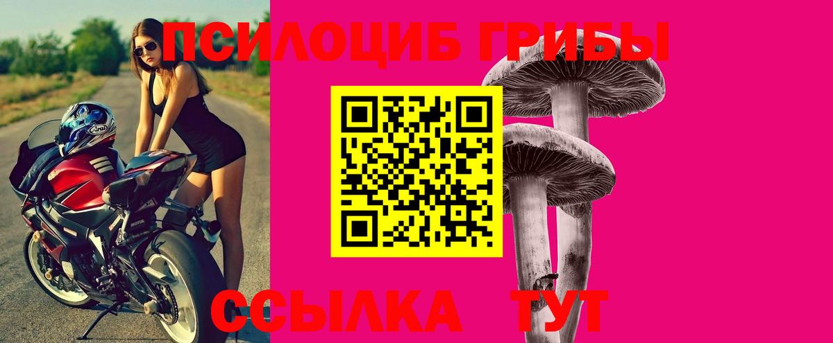 Псилоцибиновые грибы GOLDEN TEACHER Северск